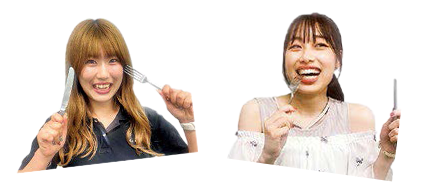 ミールシステムとは